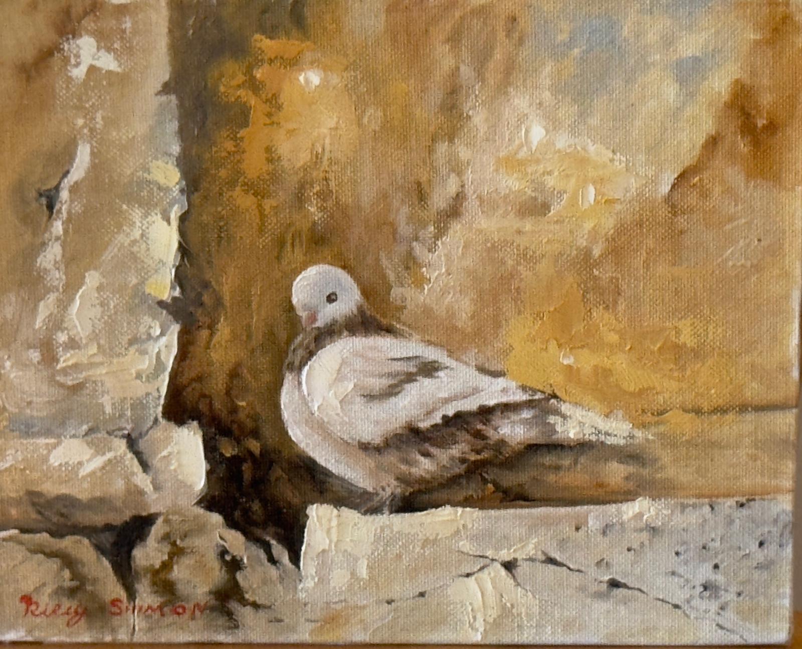 Dove on the Stone