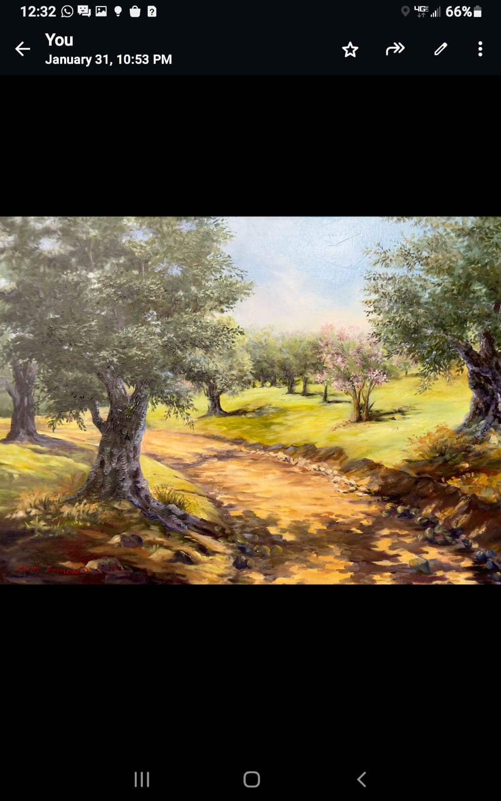 Olive Path in Spring