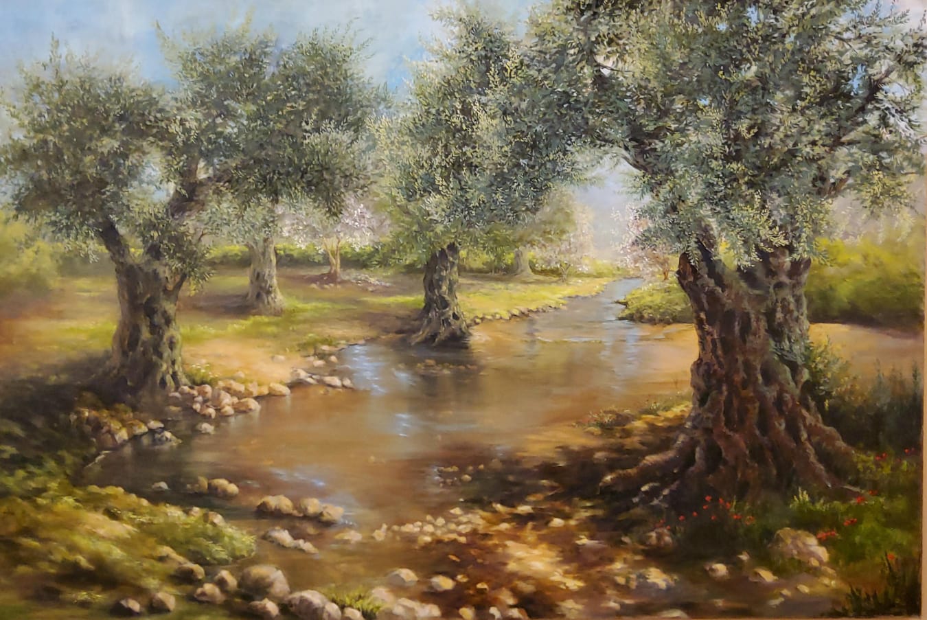 Olive Grove by Still Water